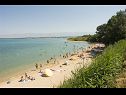 Apartmaji Mirko - 100m from the sea: A2(9) Nin - Riviera Zadar  - plaža