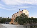 Apartmaji Ivan - 300 m from sea: A3(2), A4(2), SA5(2), A6(2) Nin - Riviera Zadar  - hiša