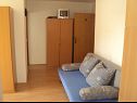 Apartmaji Ivan - 300 m from sea: A3(2), A4(2), SA5(2), A6(2) Nin - Riviera Zadar  - Apartma - A4(2): dnevna soba