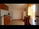 Apartmaji Tina -with terrace and sea view A1(4) Obrovac - Riviera Zadar  - Apartma - A1(4): kuhinja in jedilnica