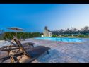 Hiša za počitnice Oasis Village Villa - heated pool : H(6+2) Privlaka - Riviera Zadar  - Hrvaška  - bazen