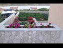 Apartmaji Adriatic - with beautiful garden: A1(2), A2(2), A3(2+2) Rtina - Riviera Zadar  - cvetlični nasad