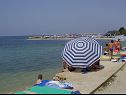 Apartmaji Marietta - sea view: A1(2+2), A2(2+2) Rtina - Riviera Zadar  - plaža
