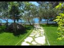 Apartmaji Ivan Z - 10 m from sea: A3(2), A4(2) Seline - Riviera Zadar  - vrt