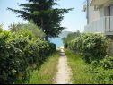 Apartmaji Dream - nearby the sea: A1-small(2), A2-midldle(2), A3-large(4+1) Seline - Riviera Zadar  - dvorišče