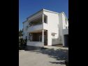 Apartmaji Ante - 200 m from beach: A2(4+2) Starigrad-Paklenica - Riviera Zadar  - hiša