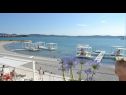 Apartmaji Martina - 300 m from sea: A1(2+2), A2(2+2) Sukošan - Riviera Zadar  - plaža