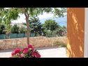 Hiša za počitnice Anamaria - sea and mountain view: H(3+2) Vinjerac - Riviera Zadar  - Hrvaška  - dvorišče