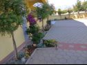 Apartmaji Vanja - terrace & BBQ A1(4+2), A2(4+1) Vir - Riviera Zadar  - dvorišče
