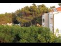 Apartmaji VINK - 80 m from beach A2(4), A3(4), A4(4) Vir - Riviera Zadar  - Apartma - A4(4): pogled (hiša in okolica)