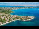 Apartmaji Sanja - 100 meters to the beach A1(4+1), A2(4+1), A3(4+1), A4(4+1) Vir - Riviera Zadar  - podrobnost