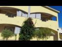Apartmaji Vanja - terrace & BBQ A1(4+2), A2(4+1) Vir - Riviera Zadar  - hiša
