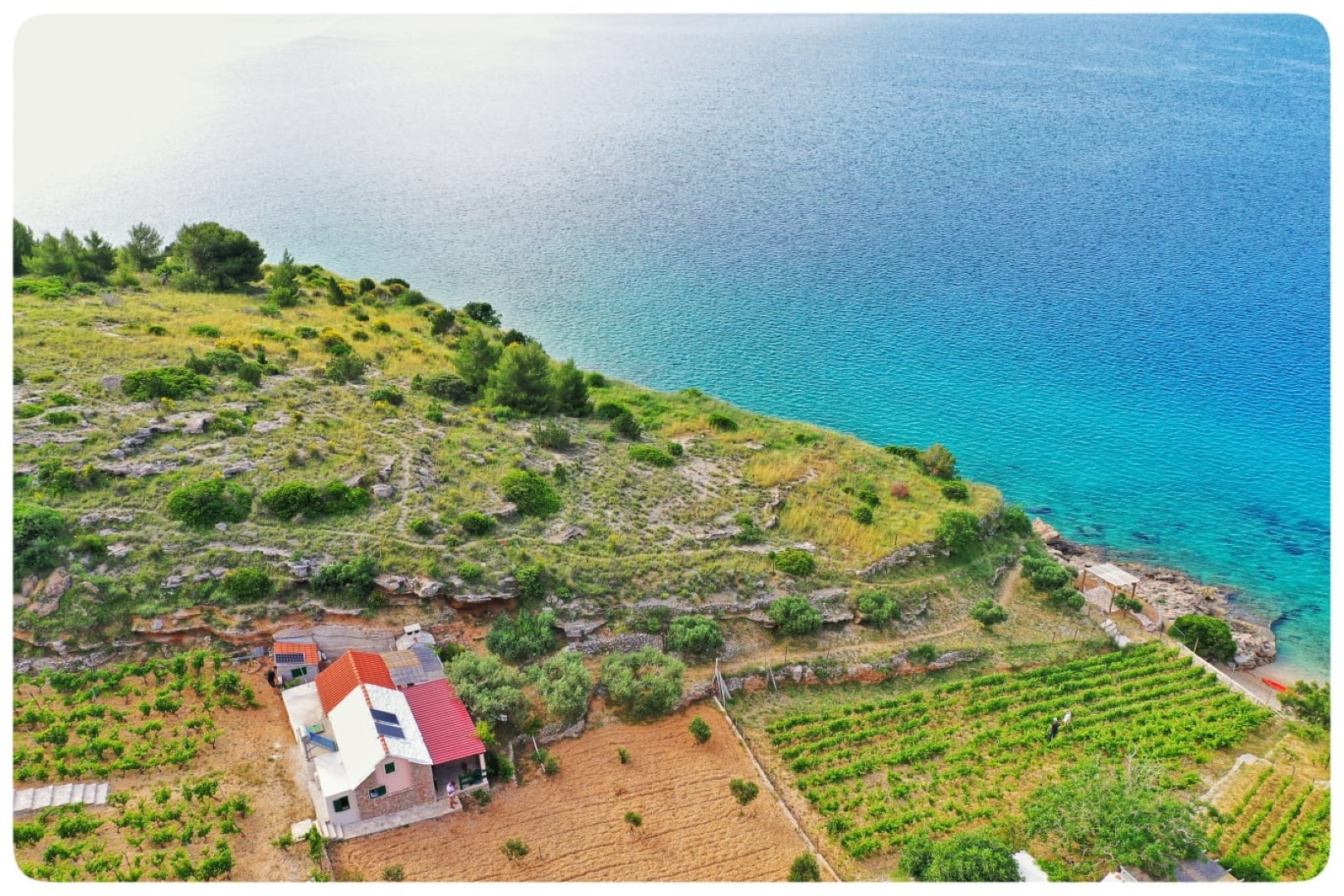 Hiša za počitnice Smokovlje - sea view and vineyard H(4) Bol - Otok Brač  - Hrvaška 