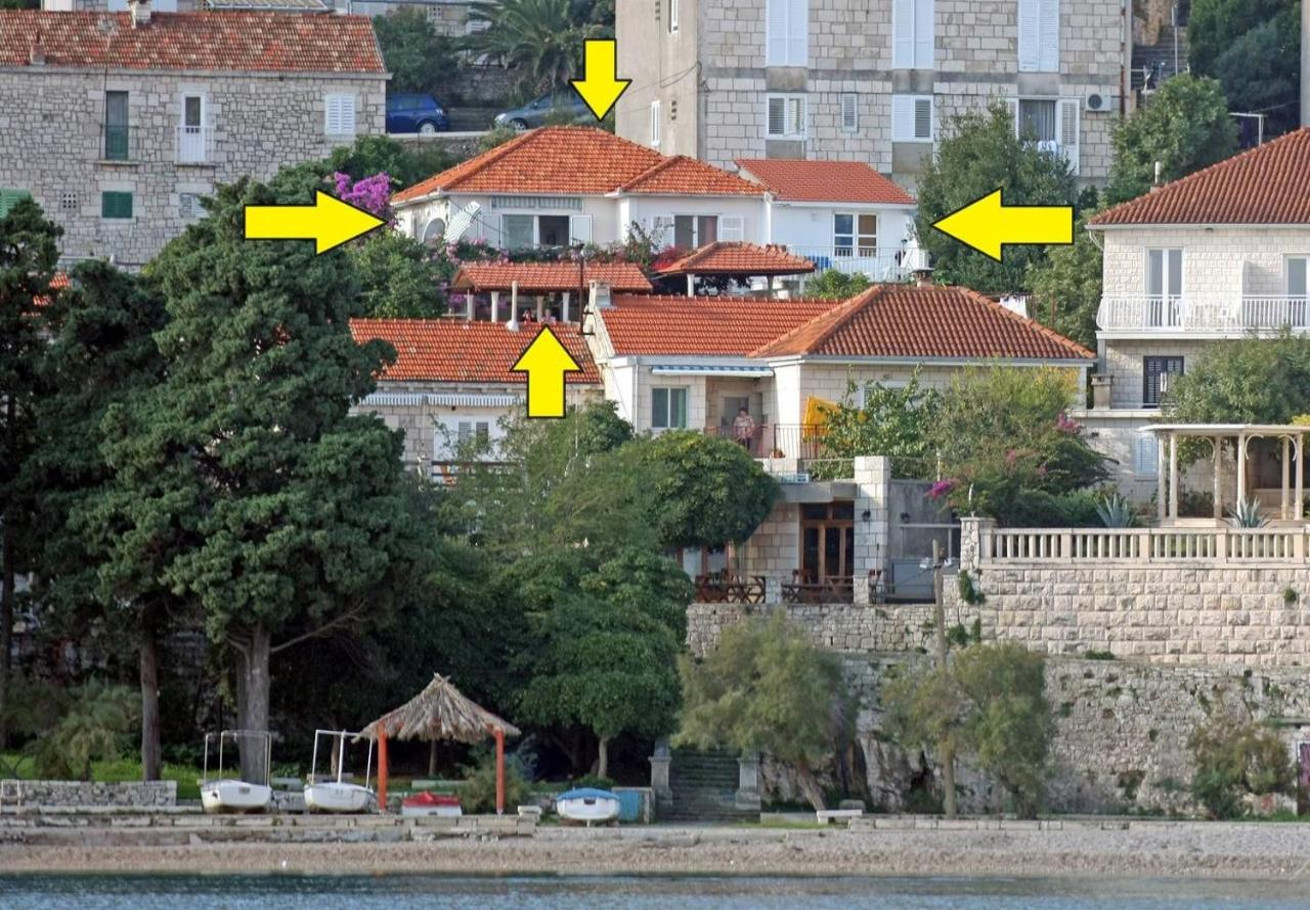 Apartmaji Vedro - 50 m from sea: 1- Red(4+1), 2 - Purple(2+1), 3 - Blue(2), 4 - Green(2+2) Korčula - Otok Korčula 