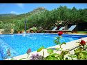 Hiša za počitnice Vojo - private swimming pool: H(4) Bol - Otok Brač  - Hrvaška  - hiša