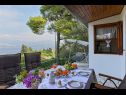 Hiša za počitnice Viki - sea view terrace: H(4+1) Postira - Otok Brač  - Hrvaška  - terasa