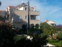 Apartmaji Orange - 30m from beach : A1(4) Postira - Otok Brač  - hiša