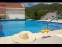 Hiša za počitnice Vedran - with beautiful lake view and private pool: H(7) Peračko Blato - Riviera Dubrovnik  - Hrvaška  - bazen