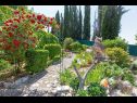 Apartmaji Silverija - garden and parking: SA1(2+1), SA2(2), SA3(2), SA4(2) Trsteno - Riviera Dubrovnik  - rastlinje (hiša in okolica)