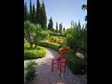 Apartmaji Silverija - garden and parking: SA1(2+1), SA2(2), SA3(2), SA4(2) Trsteno - Riviera Dubrovnik  - vrt