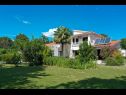 Hiša za počitnice Martina - large luxury villa: H(8+2) Labin - Istra  - Hrvaška  - dvorišče