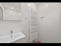 Hiša za počitnice Martina - large luxury villa: H(8+2) Labin - Istra  - Hrvaška  - H(8+2): kopalnica s straniščem