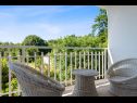 Hiša za počitnice Martina - large luxury villa: H(8+2) Labin - Istra  - Hrvaška  - H(8+2): terasa