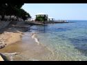 Apartmaji Eli - 50m from the sea: A3(4) Umag - Istra  - plaža