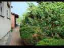 Sobe Branka - colorful: R1(2), R2(1) Križevci - Kontinentalna Hrvaška - vrt