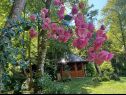 Hiša za počitnice Riverside house - beautiful nature: H(6) Žumberak - Kontinentalna Hrvaška - Hrvaška  - cvetje