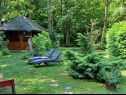 Hiša za počitnice Riverside house - beautiful nature: H(6) Žumberak - Kontinentalna Hrvaška - Hrvaška  - rastlinje
