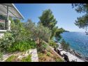 Hiša za počitnice Momento - peaceful resort : H(10) Blato - Otok Korčula  - Hrvaška  - pogled