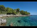 Hiša za počitnice Momento - peaceful resort : H(10) Blato - Otok Korčula  - Hrvaška  - hiša