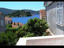 Hiša za počitnice Gradina 1 - private pool: H(10+2) Zaliv Gradina (Vela Luka) - Otok Korčula  - Hrvaška  - H(10+2): pogled