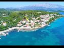Apartmaji Relax - 50 m from sea: A1(2+2) Lumbarda - Otok Korčula  - rastlinje (hiša in okolica)