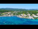 Apartmaji Sunny - 50 m from sea: A2(4+1) Lumbarda - Otok Korčula  - rastlinje (hiša in okolica)
