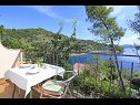 Hiša za počitnice Niso - with pool H(12+2) Zaliv Mikulina luka (Vela Luka) - Otok Korčula  - Hrvaška  - H(12+2): pogled s terase