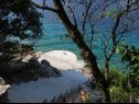 Hiša za počitnice Vers - 35m from the sea: H(4+2) Zaliv Pičena (Vela Luka) - Otok Korčula  - Hrvaška  - plaža