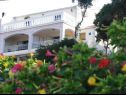 Apartmaji Dijana - 20m from the sea A1 Antica(4+1), A2 Diana(2+1), A3 Mirela(2+1) Prigradica - Otok Korčula  - hiša