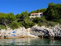 Apartmaji Desa - 10 m from the beach : A1-Mali(2), A2-Veliki(3) Prižba - Otok Korčula  - hiša