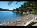 Hiša za počitnice Senka1 - pure nature & serenity: H(2) Zaliv Tudorovica (Vela Luka) - Otok Korčula  - Hrvaška  - plaža