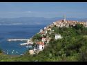Hiša za počitnice Bernardica - on cliffs above sea: H(6+2) Vrbnik - Otok Krk  - Hrvaška  - rastlinje