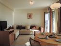 Apartmaji Smilja - 150 m from pebble beach: A1(2+2), A2(2+1), SA3(2) Baška Voda - Riviera Makarska  - Apartma - A1(2+2): dnevna soba