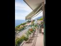 Apartmaji Ante - seaview A1(5), SA2(3), SA3(2+1) Brela - Riviera Makarska  - Studio apartma - SA3(2+1): balkon