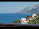 Apartmaji Ruze - 200 m from sea : A1(6+1), A2(8+1) Brela - Riviera Makarska  - Apartma - A2(8+1): pogled