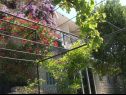 Apartmaji Secret garden - seaview: A1(4), A2(2) Brela - Riviera Makarska  - hiša
