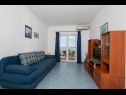 Apartmaji Ruzica - with sea view: A1 - plavi(3+2), A2 - (2+2), A3 - zuti(3+2) Igrane - Riviera Makarska  - Apartma - A1 - plavi(3+2): dnevna soba