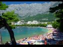 Apartmaji Sunny - quiet and relaxing A1(2+2), A2(2+1) Makarska - Riviera Makarska  - plaža