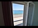 Apartmaji Denko - right on the beach: A1(7), SA2(2), SA3(2) Betina - Otok Murter  - Apartma - A1(7): pogled z okna