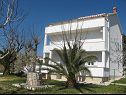 Apartmaji Frane - 20 m from beach: A1(6+1) , A2(5)  Barbat - Otok Rab  - hiša